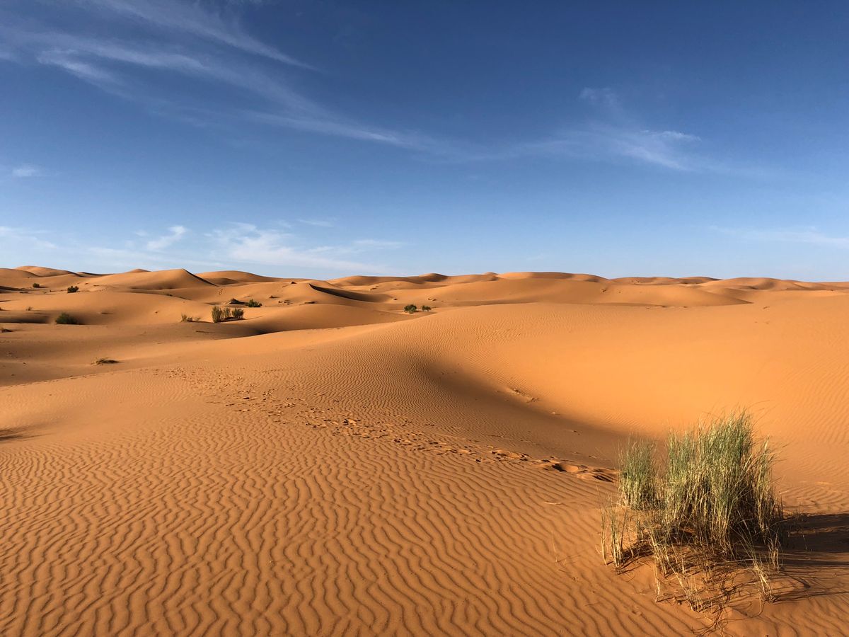 Dunes du désert marocain — excursions depuis Marrakech