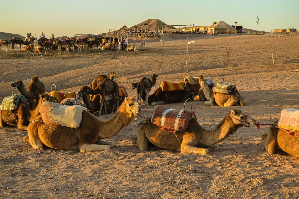 Programme 6 jours Marrakech : Aït Benhaddou & Désert d'Agafay