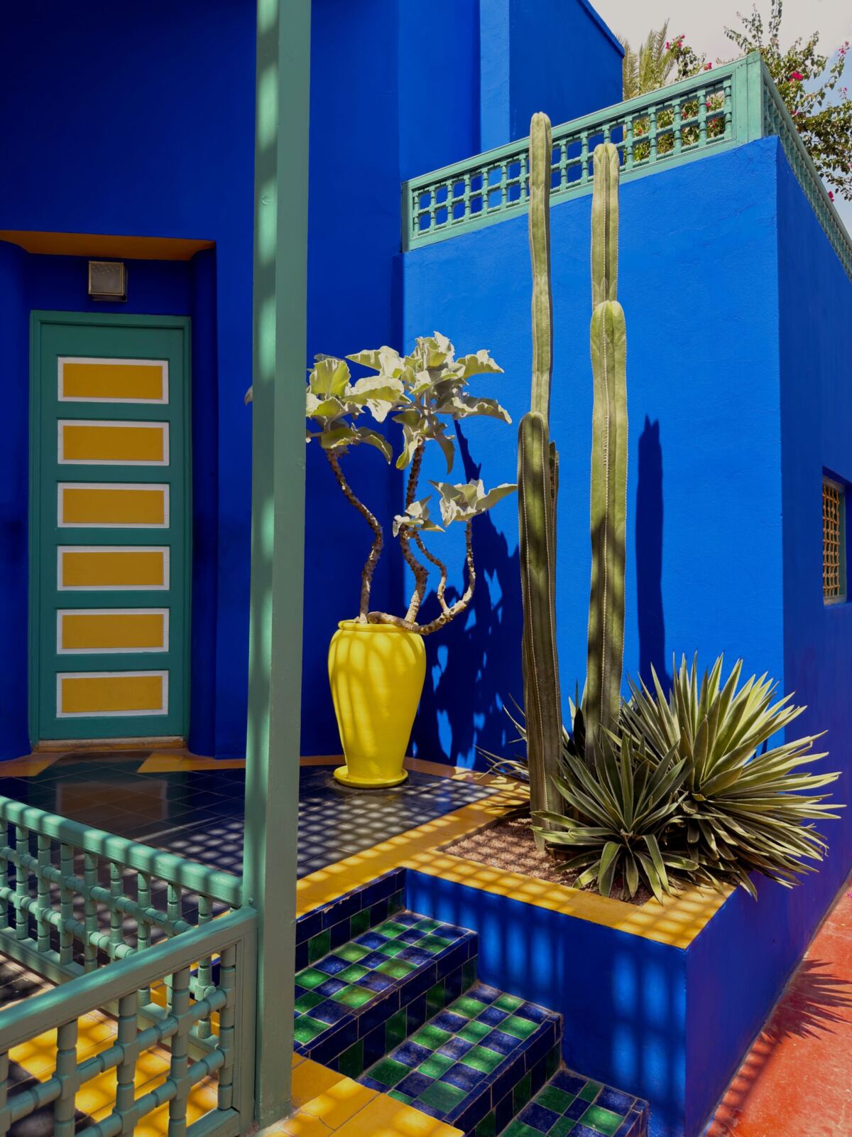 Marrakech family trip: Jardin Majorelle, a kid-friendly garden stop
